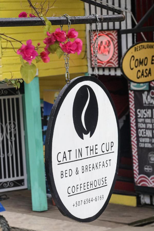 Cat In The Cup B&B 보카스 타운 외부 사진